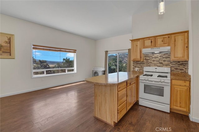 kitchen featuring kitchen peninsula, decorative backsplash, white range with gas stovetop, and a healthy amount of sunlight