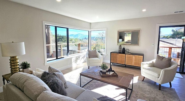 living room featuring wood-type flooring