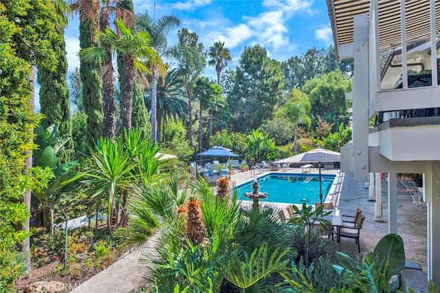 view of pool featuring a patio