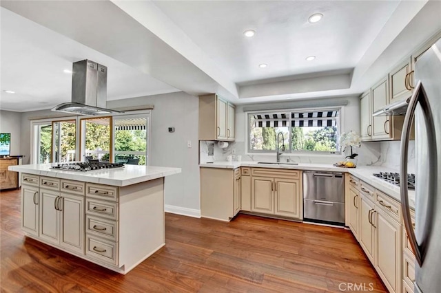 kitchen featuring sink, light hardwood / wood-style flooring, appliances with stainless steel finishes, cream cabinetry, and island range hood