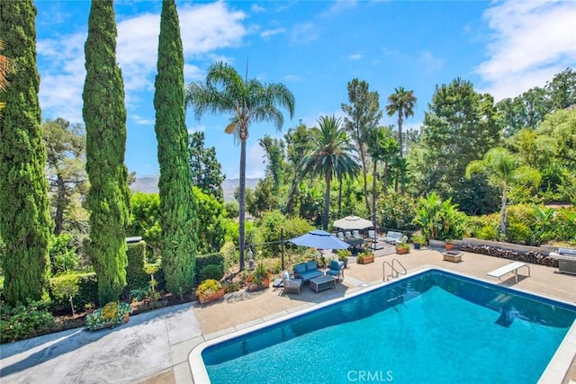 view of swimming pool with a diving board and a patio area