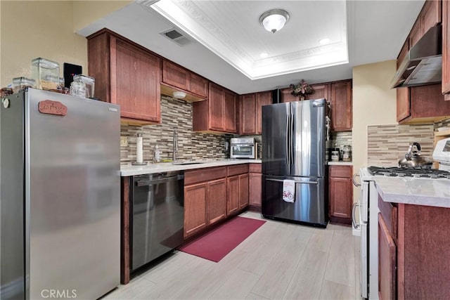 kitchen with tasteful backsplash, sink, a tray ceiling, and stainless steel appliances