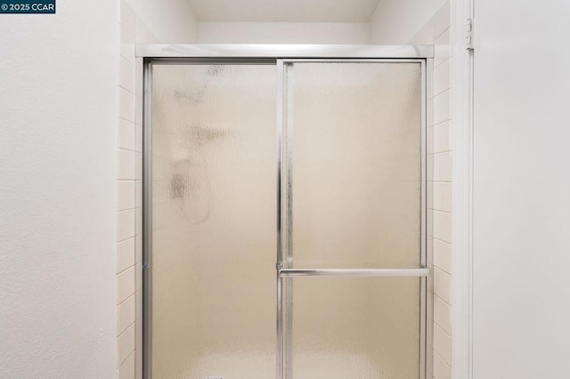 bathroom featuring a shower with shower door