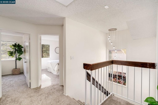 hall featuring light carpet and a textured ceiling