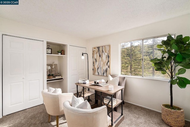 carpeted home office featuring a textured ceiling