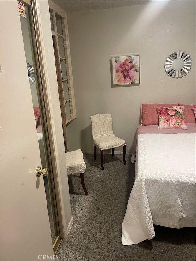 view of carpeted bedroom