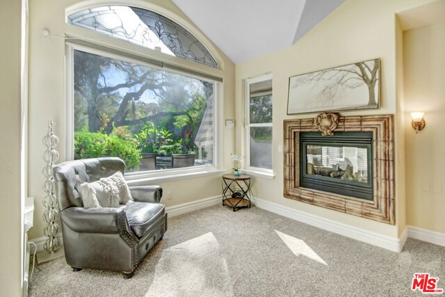 sitting room featuring lofted ceiling, a healthy amount of sunlight, carpet, and a multi sided fireplace