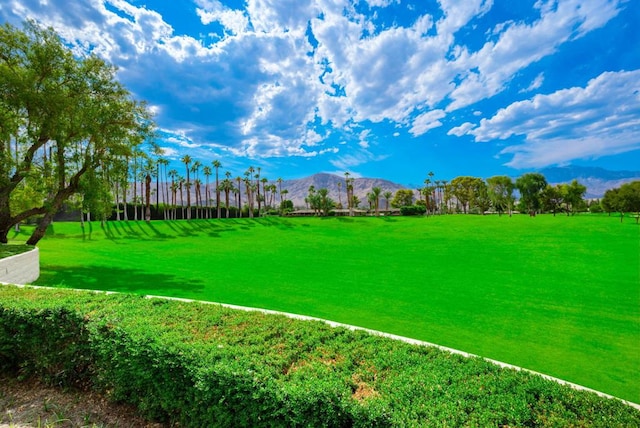 view of property's community featuring a mountain view and a yard