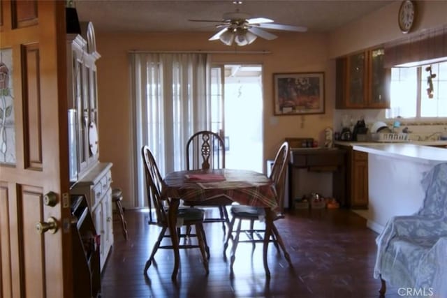 dining space featuring ceiling fan and plenty of natural light