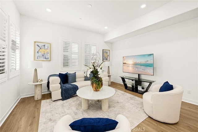 living room with baseboards, a healthy amount of sunlight, and wood finished floors