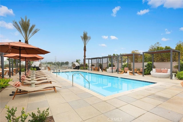 view of pool with a patio