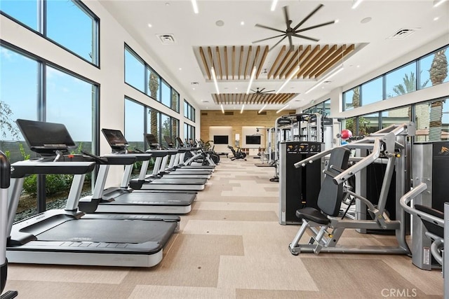 gym with light carpet, a healthy amount of sunlight, and wooden walls