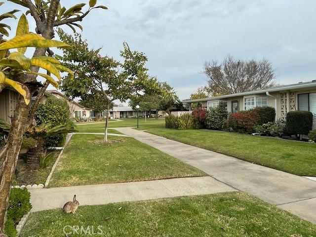 view of community featuring a lawn