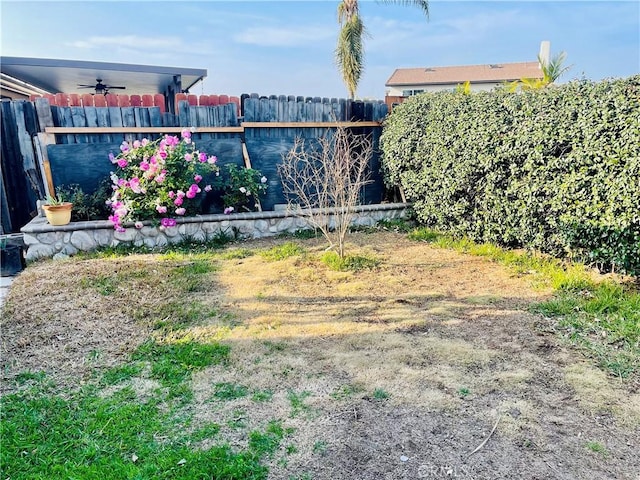 view of yard featuring ceiling fan