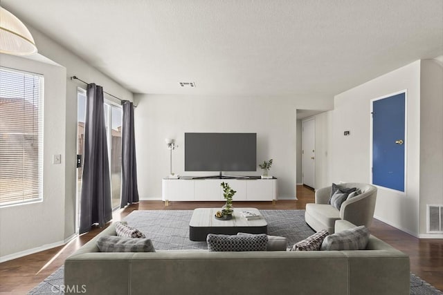 living room featuring dark wood-type flooring