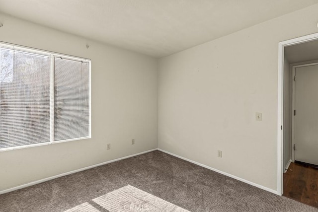 empty room with carpet flooring