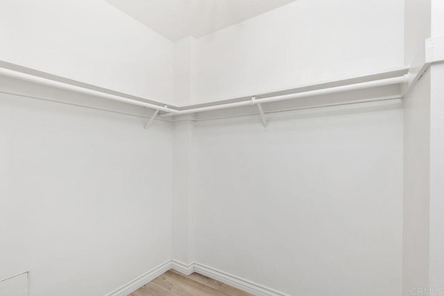 walk in closet with hardwood / wood-style floors