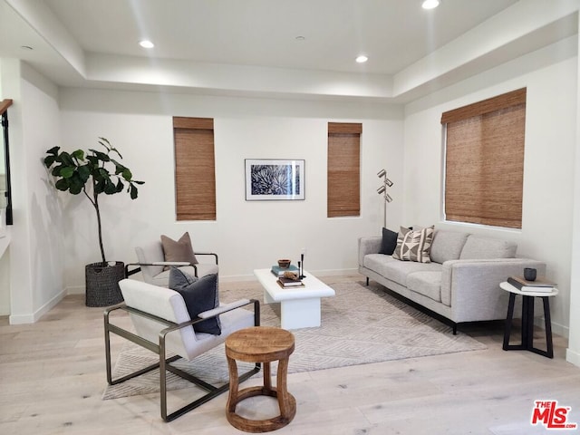 living room featuring light wood-type flooring and a tray ceiling