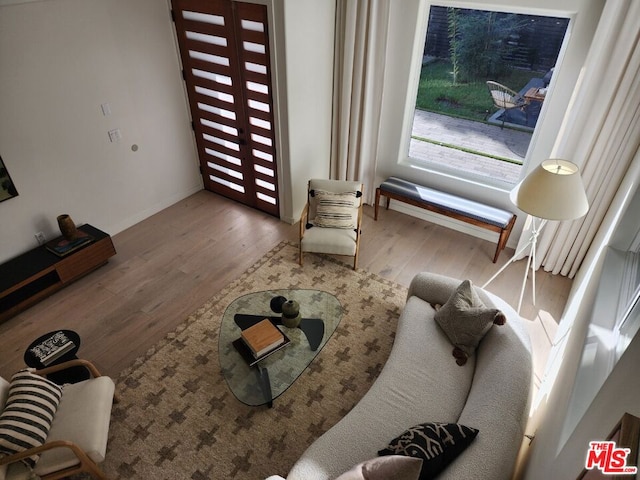 living room featuring light hardwood / wood-style flooring