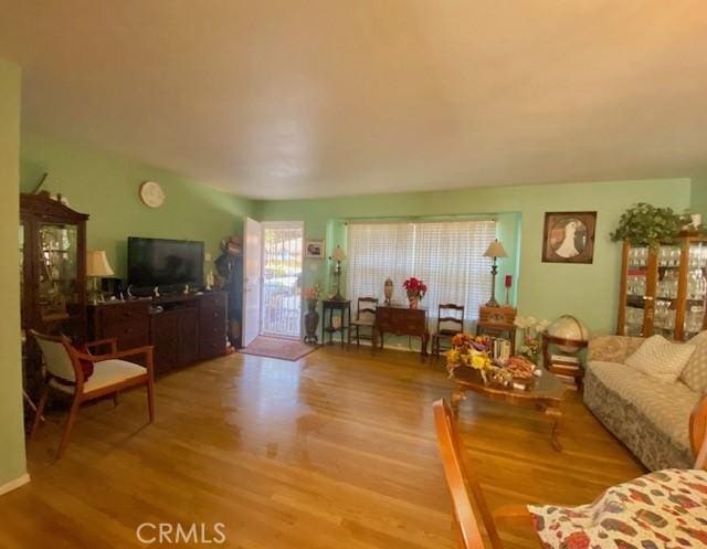 living room with wood-type flooring