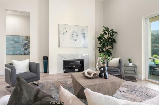 living room with light wood-type flooring and a fireplace