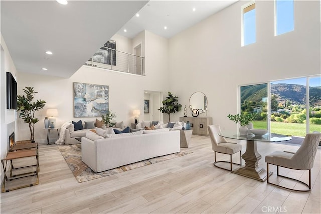 living room with a high ceiling and light hardwood / wood-style flooring