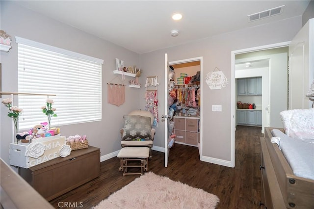 interior space featuring a spacious closet, dark wood-type flooring, and a closet