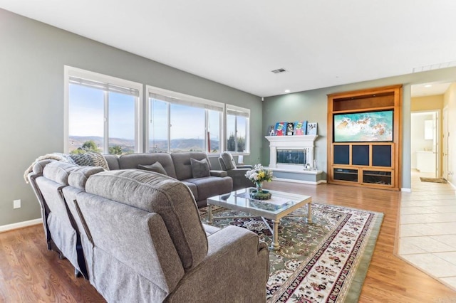 living room with wood-type flooring