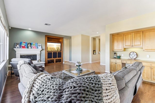 living room with wood-type flooring