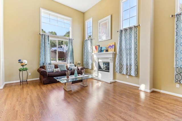 sitting room featuring light hardwood / wood-style flooring