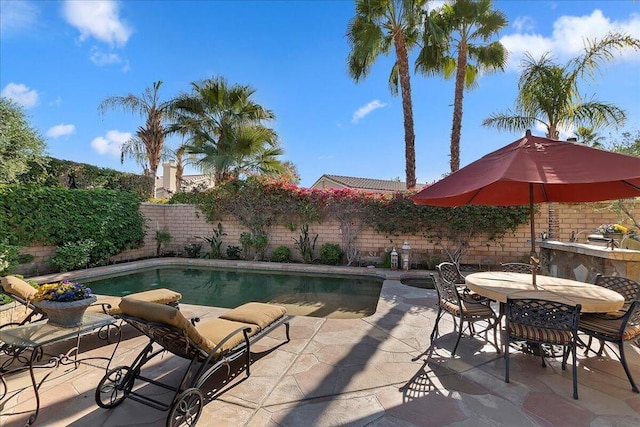 view of swimming pool featuring a patio area