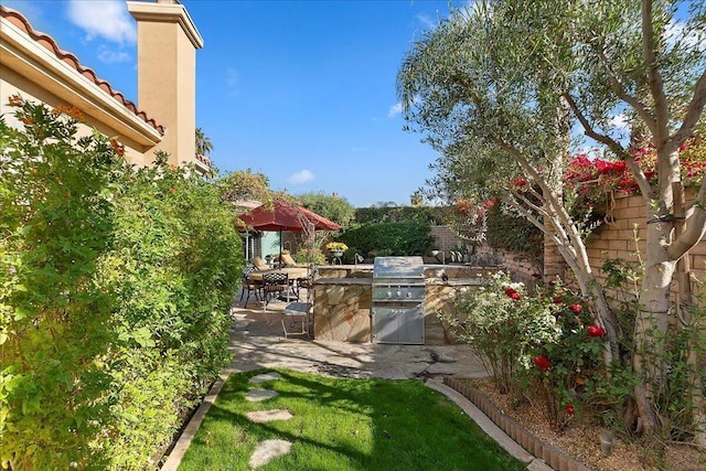 view of yard with a patio and an outdoor kitchen