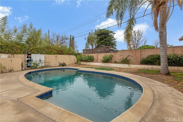 view of swimming pool