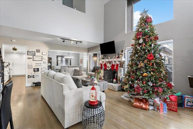 living room featuring hardwood / wood-style flooring and a high ceiling