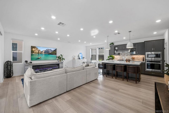 living room featuring light hardwood / wood-style flooring