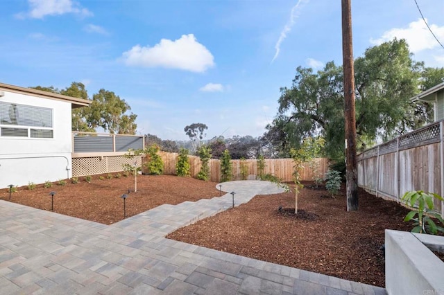 view of yard featuring a patio area