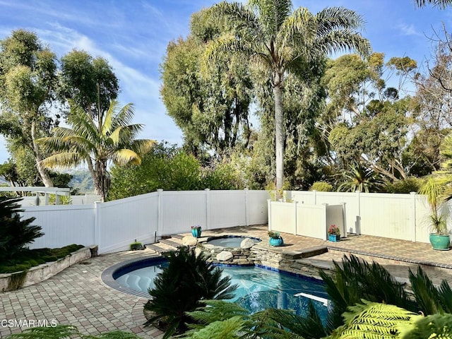 view of swimming pool with a patio area and a jacuzzi