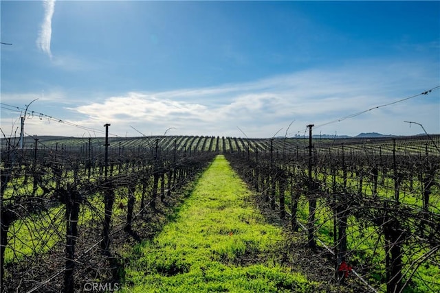 0 Vintage Ranch Rd, San Luis Obispo, CA 93401 - photo 19