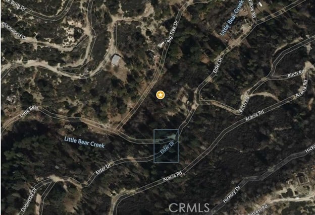 0 Big Tree Dr, Cedar Glen CA, 92321 land for sale