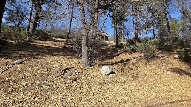 Listing photo 2 for 0 Big Tree Dr, Cedar Glen CA 92321