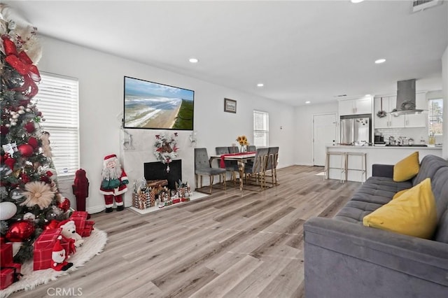 living room featuring light hardwood / wood-style flooring