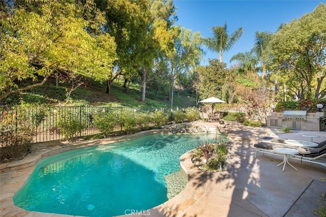 view of swimming pool featuring exterior kitchen, a patio, and area for grilling