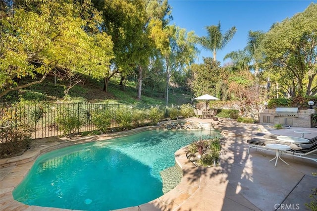 view of pool featuring grilling area, an outdoor kitchen, and a patio area