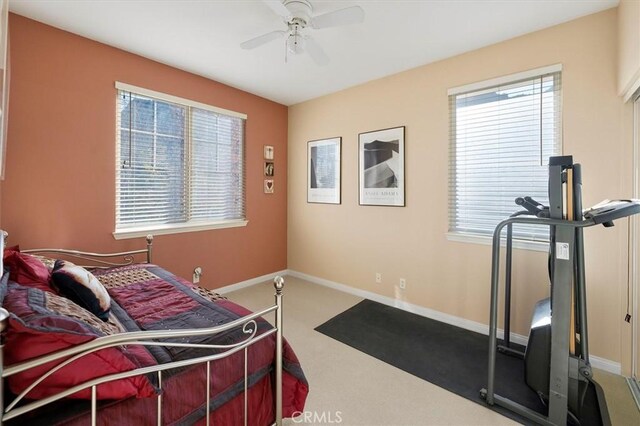 interior space featuring ceiling fan and carpet flooring