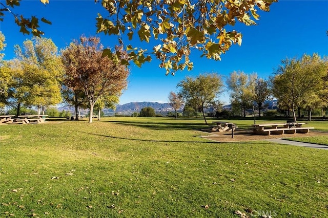 view of property's community featuring a mountain view and a lawn