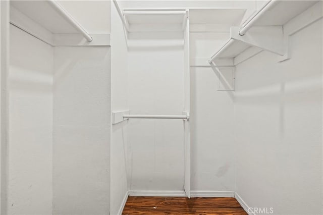 walk in closet featuring hardwood / wood-style flooring