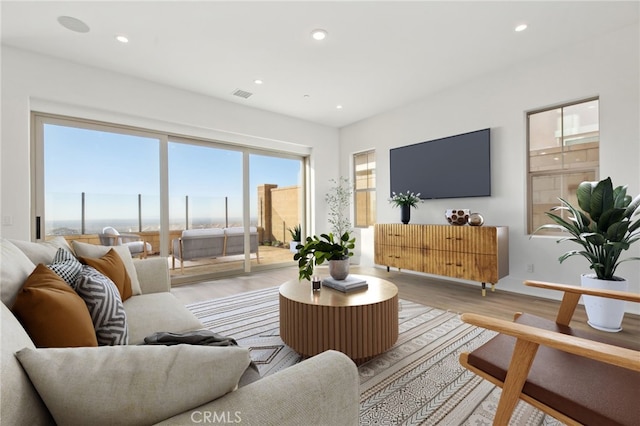 living room with light wood-type flooring