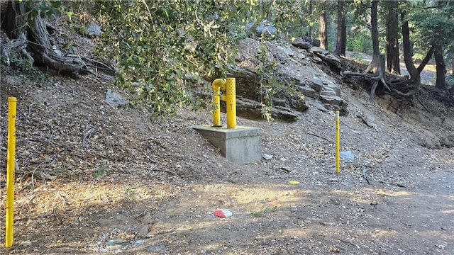 0 Cross Trl, Cedarpines Park, CA 92322