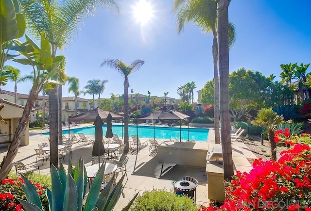 view of swimming pool featuring an outdoor kitchen and a patio