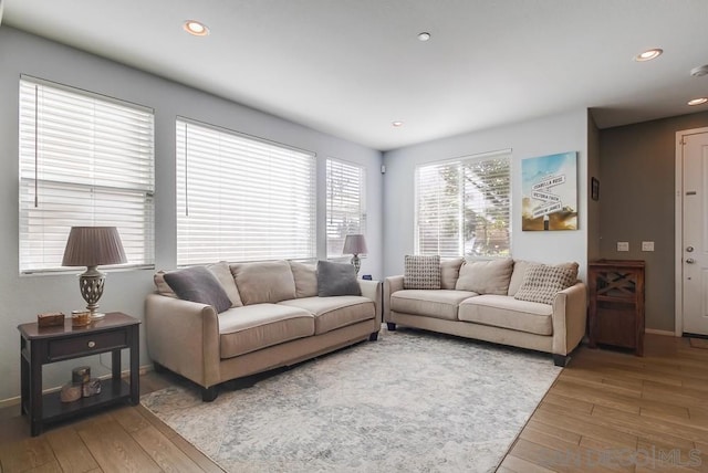 living room featuring hardwood / wood-style floors